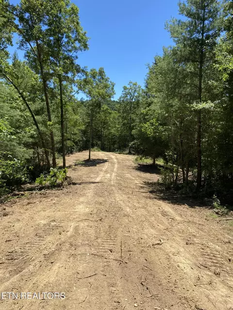 Jurgens Rd, Robbins, TN 37852 photo 3