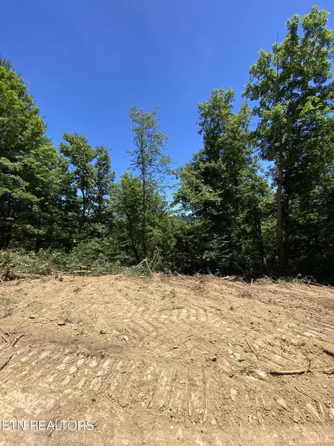 Jurgens Rd, Robbins, TN 37852 photo 5