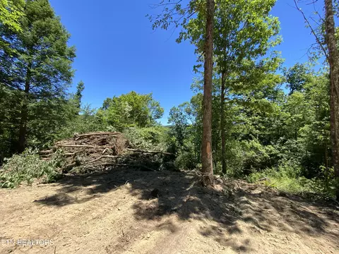 Jurgens Rd, Robbins, TN 37852 photo 4