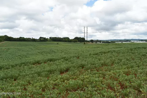 Old Poplar Ridge Rd, Talbott, TN 37877