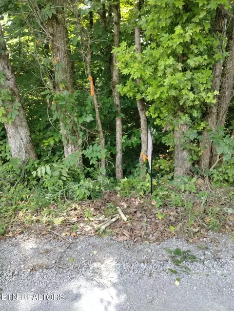 01 Webster-hollow Rd, Rogersville, TN 37857