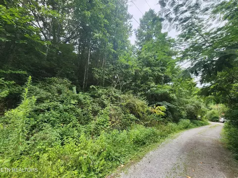 Walter Roberts Drive, Pennington Gap, VA 24277