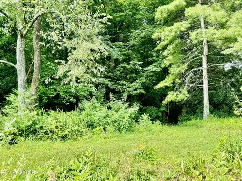 Robinson Lane, Decatur, TN 37322