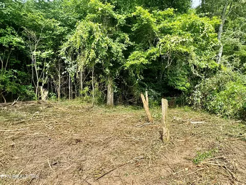 Robinson Lane, Decatur, TN 37322