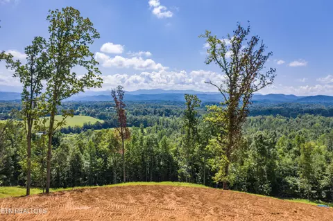 135 Gamble Gap Rd, Tellico Plains, TN 37385