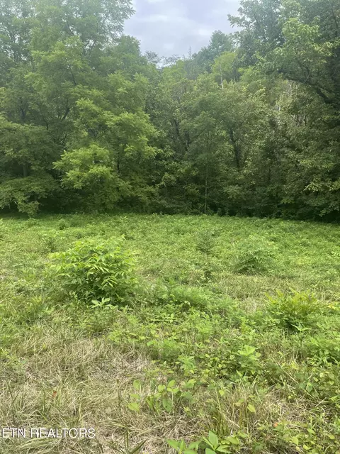 Hinds Creek Rd, Maynardville, TN 37807