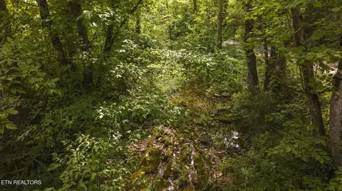 174 Acres War Creek Rd, Eidson, TN 37731 photo 47
