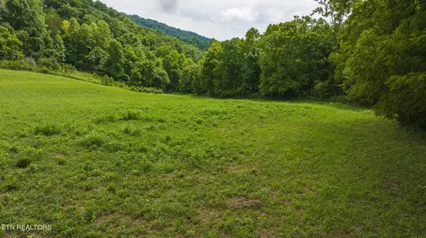 174 Acres War Creek Rd, Eidson, TN 37731 photo 27