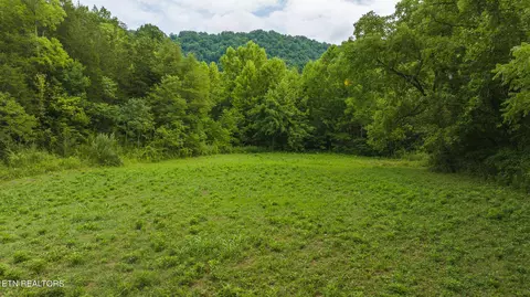 174 Acres War Creek Rd, Eidson, TN 37731 photo 5