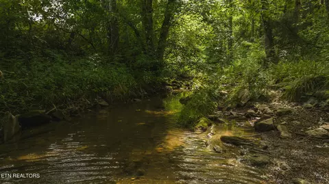 174 Acres War Creek Rd, Eidson, TN 37731 photo 45