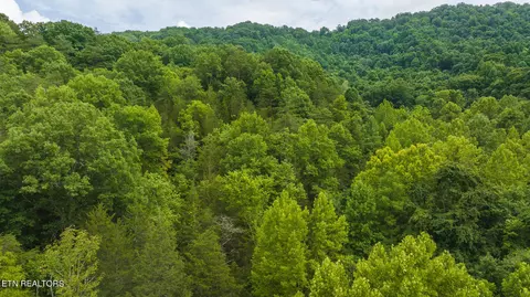 174 Acres War Creek Rd, Eidson, TN 37731 photo 6