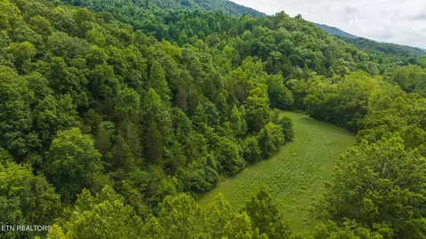 174 Acres War Creek Rd, Eidson, TN 37731 photo 13