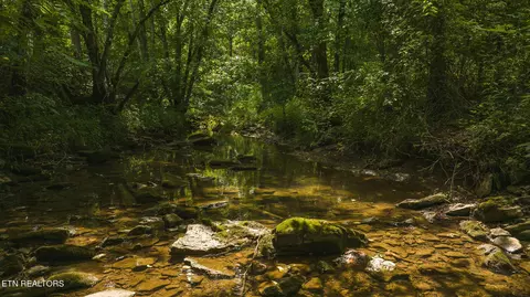 174 Acres War Creek Rd, Eidson, TN 37731 photo 43