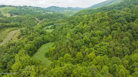 174 Acres War Creek Rd, Eidson, TN 37731 photo 8