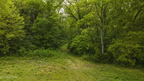 174 Acres War Creek Rd, Eidson, TN 37731 photo 2