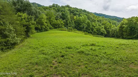 174 Acres War Creek Rd, Eidson, TN 37731 photo 28