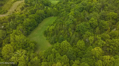 174 Acres War Creek Rd, Eidson, TN 37731 photo 7