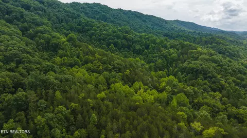 174 Acres War Creek Rd, Eidson, TN 37731 photo 39