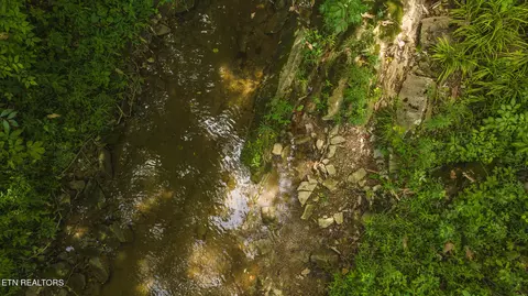 174 Acres War Creek Rd, Eidson, TN 37731 photo 46