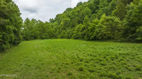 174 Acres War Creek Rd, Eidson, TN 37731 photo 4