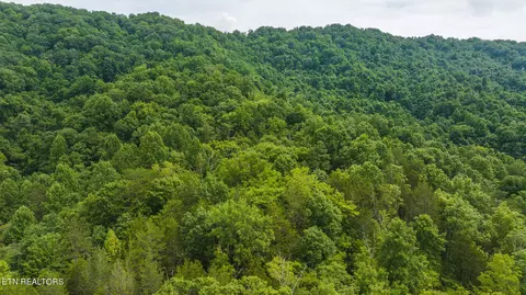 174 Acres War Creek Rd, Eidson, TN 37731 photo 17