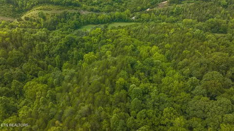 174 Acres War Creek Rd, Eidson, TN 37731 photo 41