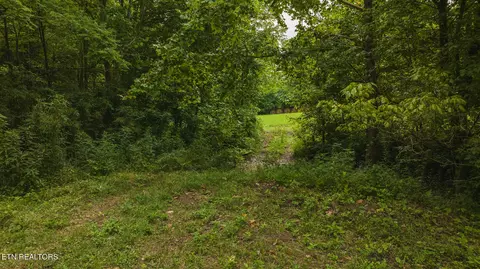 174 Acres War Creek Rd, Eidson, TN 37731 photo 23