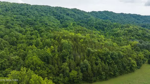174 Acres War Creek Rd, Eidson, TN 37731 photo 36