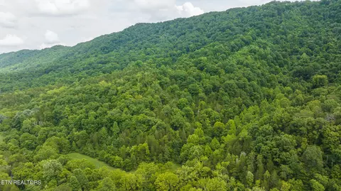 174 Acres War Creek Rd, Eidson, TN 37731 photo 10