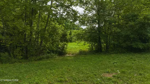174 Acres War Creek Rd, Eidson, TN 37731 photo 16