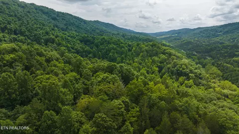 174 Acres War Creek Rd, Eidson, TN 37731 photo 18