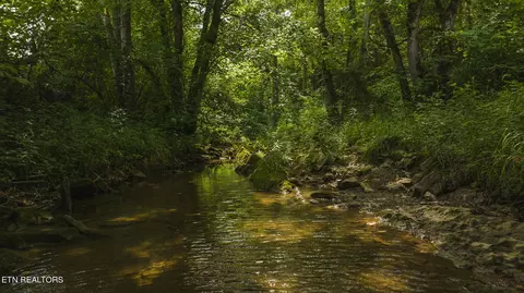 174 Acres War Creek Rd, Eidson, TN 37731 photo 44