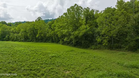 174 Acres War Creek Rd, Eidson, TN 37731 photo 34