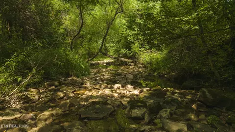174 Acres War Creek Rd, Eidson, TN 37731 photo 42