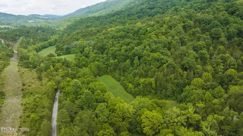 174 Acres War Creek Rd, Eidson, TN 37731 photo 9