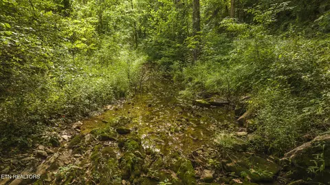 174 Acres War Creek Rd, Eidson, TN 37731 photo 48