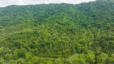174 Acres War Creek Rd, Eidson, TN 37731 photo 11