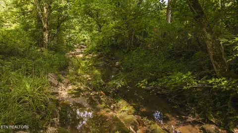 174 Acres War Creek Rd, Eidson, TN 37731 photo 49
