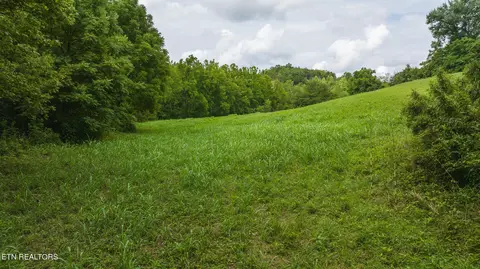 174 Acres War Creek Rd, Eidson, TN 37731 photo 22