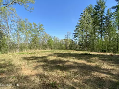 134 Upper Towee Lane Ln, Reliance, TN 37369