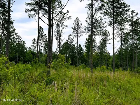 Tract 9 Hughes Lake Road Se, Cleveland, TN 37323
