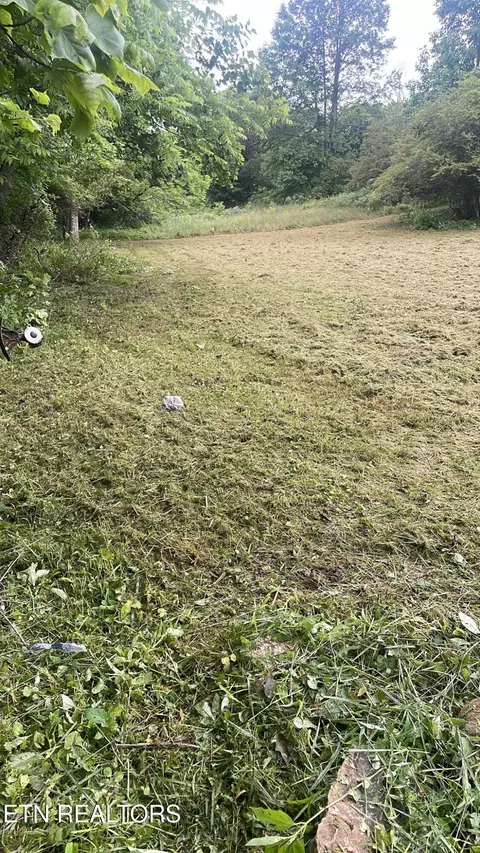 Perilla Rd, Cosby, TN 37722