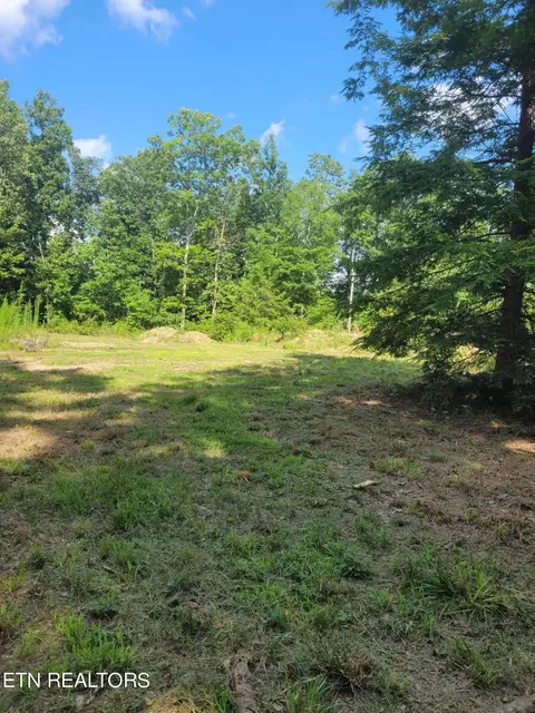 179 Laurel Cliff Road Rd, Clarkrange, TN 38553