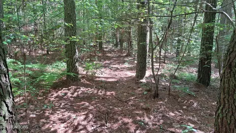 Airport Rd - Lot 2, Rockwood, TN 37854