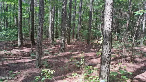 Airport Rd - Lot 3, Rockwood, TN 37854