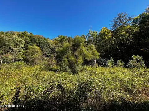 10 Acres Laurel Fork Rd, Frakes, KY 40940