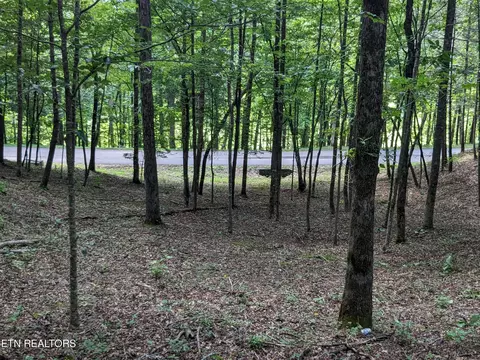 742 Hunters Run Rd, Townsend, TN 37882