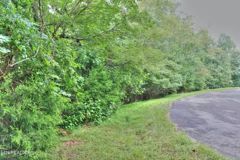lot432 Beryl Ct, New Tazewell, TN 37825