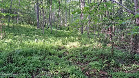 Airport Rd - Lot 5, Rockwood, TN 37854