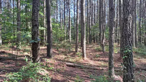 Airport Rd - Lot 6, Rockwood, TN 37854